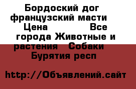 Бордоский дог ( французский масти)  › Цена ­ 50 000 - Все города Животные и растения » Собаки   . Бурятия респ.